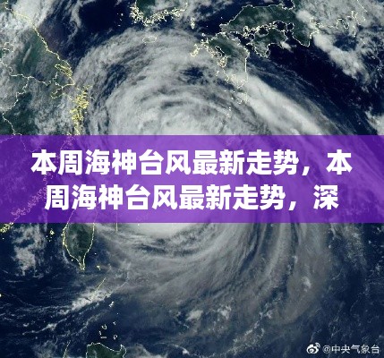 深度解析与前沿观察,本周海神台风最新走势