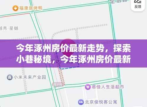 涿州房价最新走势揭秘,小巷秘境中的隐藏瑰宝探索