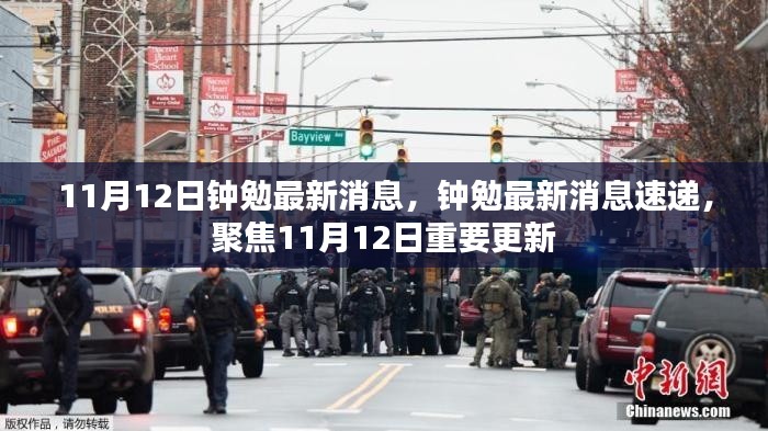 钟勉最新消息速递,聚焦11月12日的重要更新