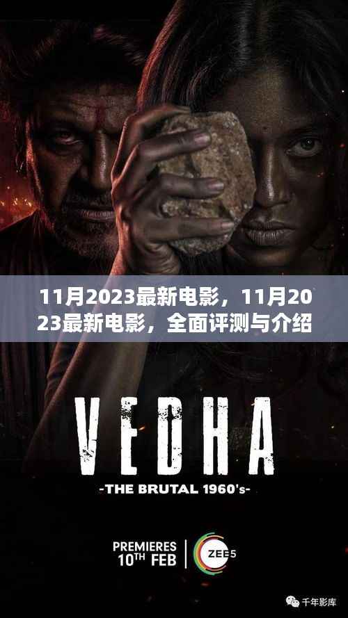 2023年11月最新电影全面评测与介绍