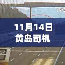 11月14日黄岛司机招聘最新信息及行业脉动