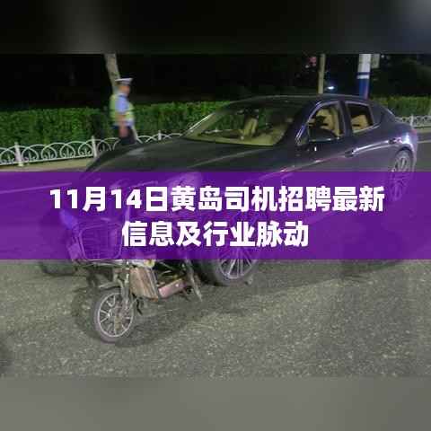 11月14日黄岛司机招聘最新信息及行业脉动