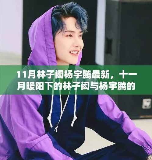 十一月暖阳下的林子闳与杨宇腾,温馨日常的最新篇章