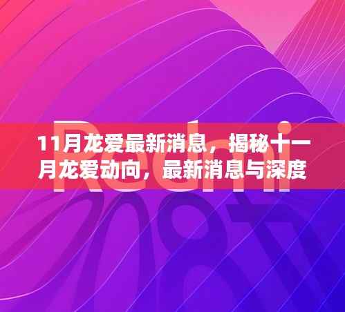 揭秘十一月龙爱最新动向与深度解析,最新消息一览