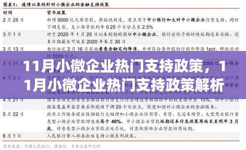 11月小微企业支持政策解析,何去何从探寻发展之路