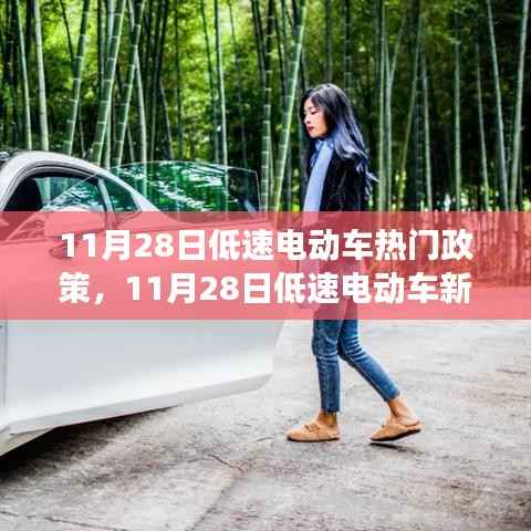 11月28日低速电动车新政启动,绿色出行,探索自然美景的怀抱