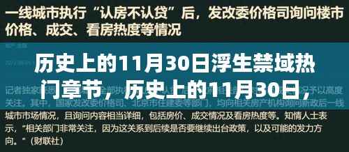 揭秘历史上的11月30日,浮生禁域热门章节回顾