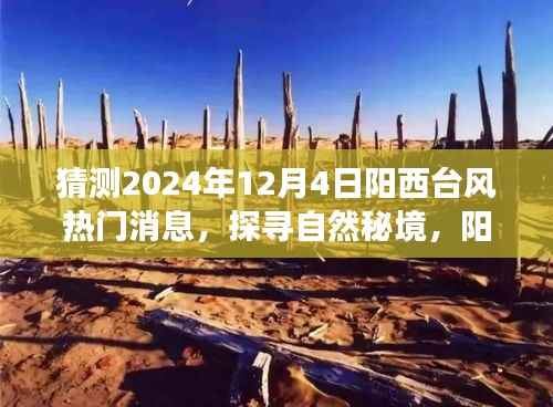 揭秘阳西台风背后的故事,探寻自然秘境,启程寻找内心的宁静与奇迹(热门消息预测)