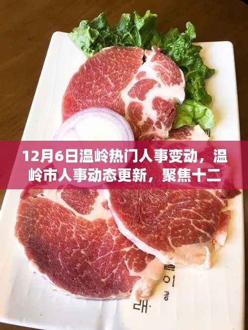 12月6日温岭人事大变动,市人事动态更新聚焦当日关键调整