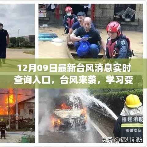 台风来袭实时查询入口,扬帆起航,自信导航学习之旅
