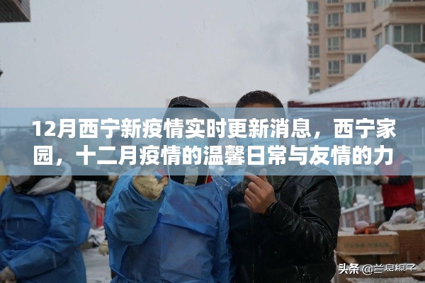 西宁家园十二月疫情实时更新,温馨日常与友情力量展现抗疫温情