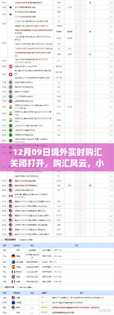 境外实时购汇风云,日常冒险与友情魔法的交织