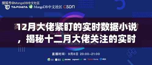 揭秘十二月大佬关注的实时数据小说,数字背后的故事深度剖析