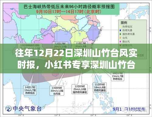 历年12月22日深圳山竹台风实时报道,风雨中的家园守护