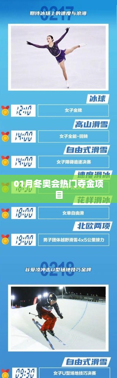 冬奥会热门夺金项目解析