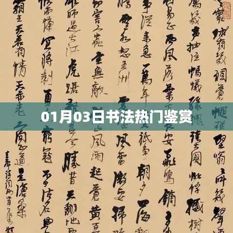 书法鉴赏热点,精选佳作赏析(日期,01月03日)
