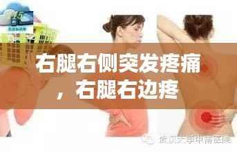 右腿右侧突发疼痛,右腿右边疼