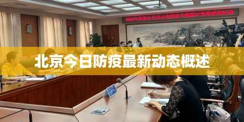 北京今日防疫最新动态概述