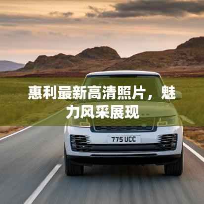 惠利最新高清照片,魅力风采展现