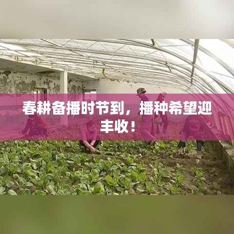 春耕备播时节到，播种希望迎丰收！