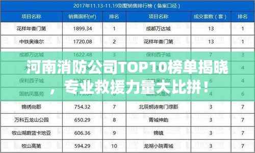 河南消防公司TOP10榜单揭晓，专业救援力量大比拼！