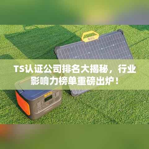 伤弓之鸟 第2页