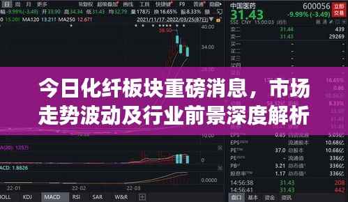 今日化纤板块重磅消息,市场走势波动及行业前景深度解析