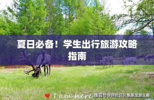 夏日必备!学生出行旅游攻略指南