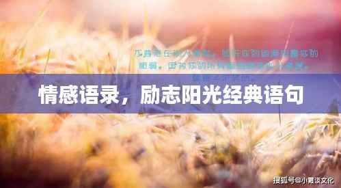 情感语录，励志阳光经典语句