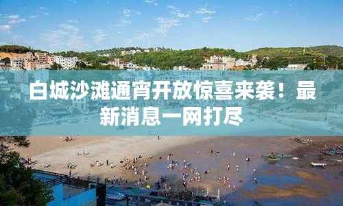 白城沙滩通宵开放惊喜来袭!最新消息一网打尽