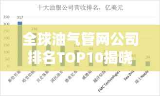 全球油气管网公司排名TOP10揭晓！