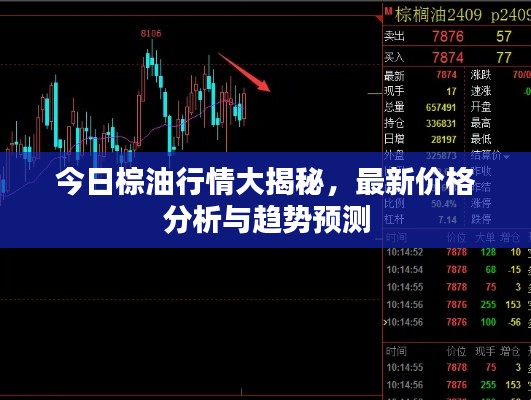 今日棕油行情大揭秘,最新价格分析与趋势预测