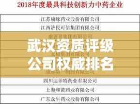 武汉资质评级公司权威排名榜单揭晓!