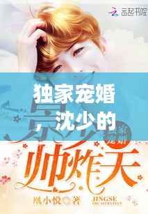 独家宠婚,沈少的甜蜜羁绊