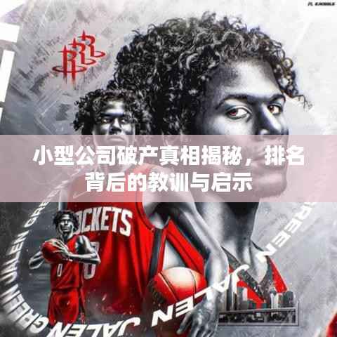 小型公司破产真相揭秘,排名背后的教训与启示