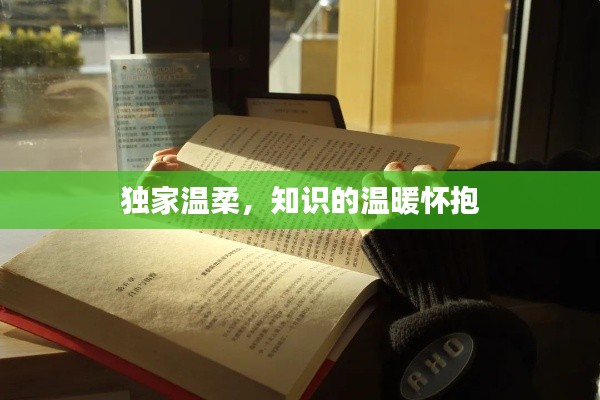 独家温柔,知识的温暖怀抱