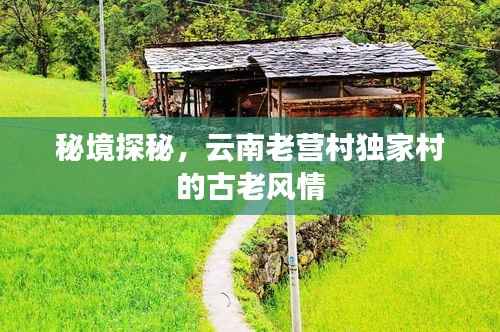 秘境探秘,云南老营村独家村的古老风情