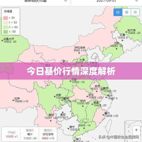 今日基价行情深度解析