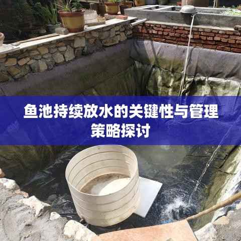 鱼池持续放水的关键性与管理策略探讨