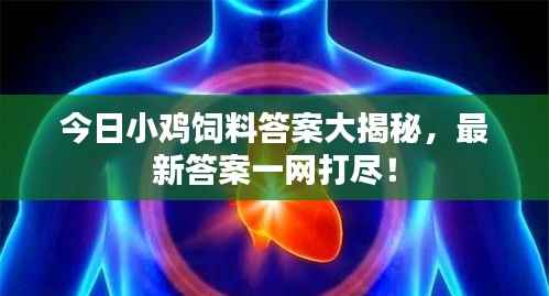 今日小鸡饲料答案大揭秘,最新答案一网打尽!