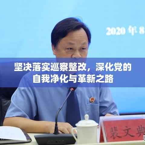 坚决落实巡察整改,深化党的自我净化与革新之路