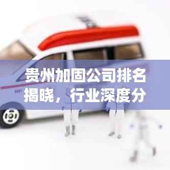 贵州加固公司排名揭晓,行业深度分析与前景展望