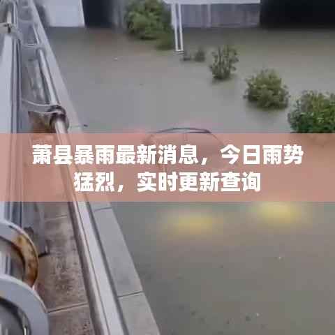 萧县暴雨最新消息,今日雨势猛烈,实时更新查询