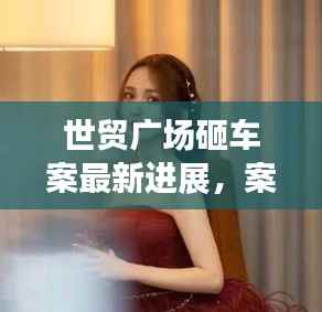 世贸广场砸车案最新进展，案件视频曝光，揭秘事件真相！