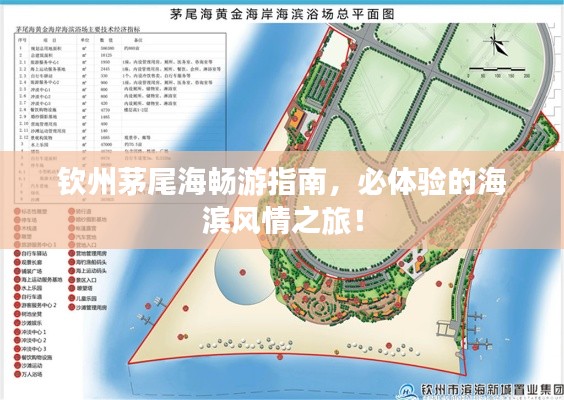 钦州茅尾海畅游指南,必体验的海滨风情之旅!