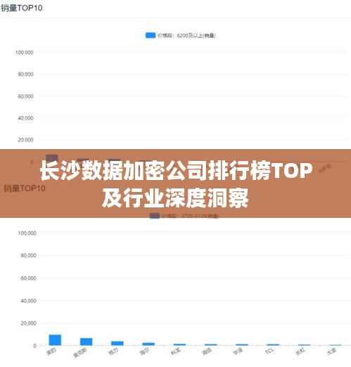 长沙数据加密公司排行榜TOP及行业深度洞察