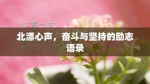 北漂心声,奋斗与坚持的励志语录