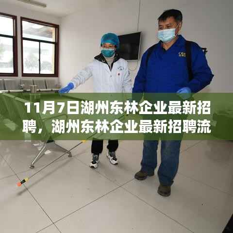 湖州东林企业最新招聘指南,11月7日求职指南与招聘流程详解