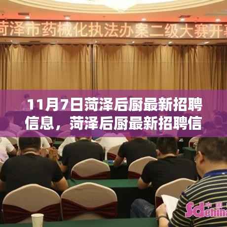 菏泽后厨最新招聘信息更新,11月7日概览