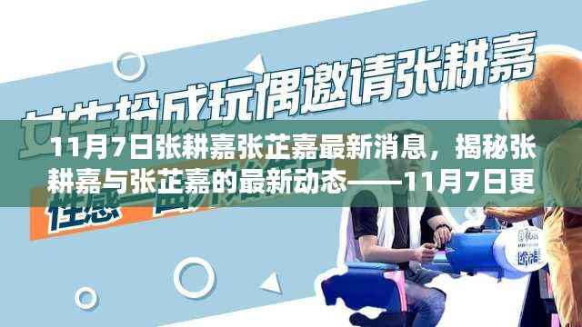 揭秘张耕嘉与张芷嘉的最新动态,11月7日更新报告
